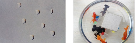 1711788164398949.jpg 201403101021188321 (1).jpg